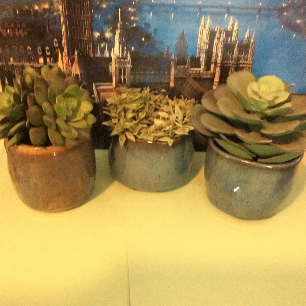 Hand Thrown Planters